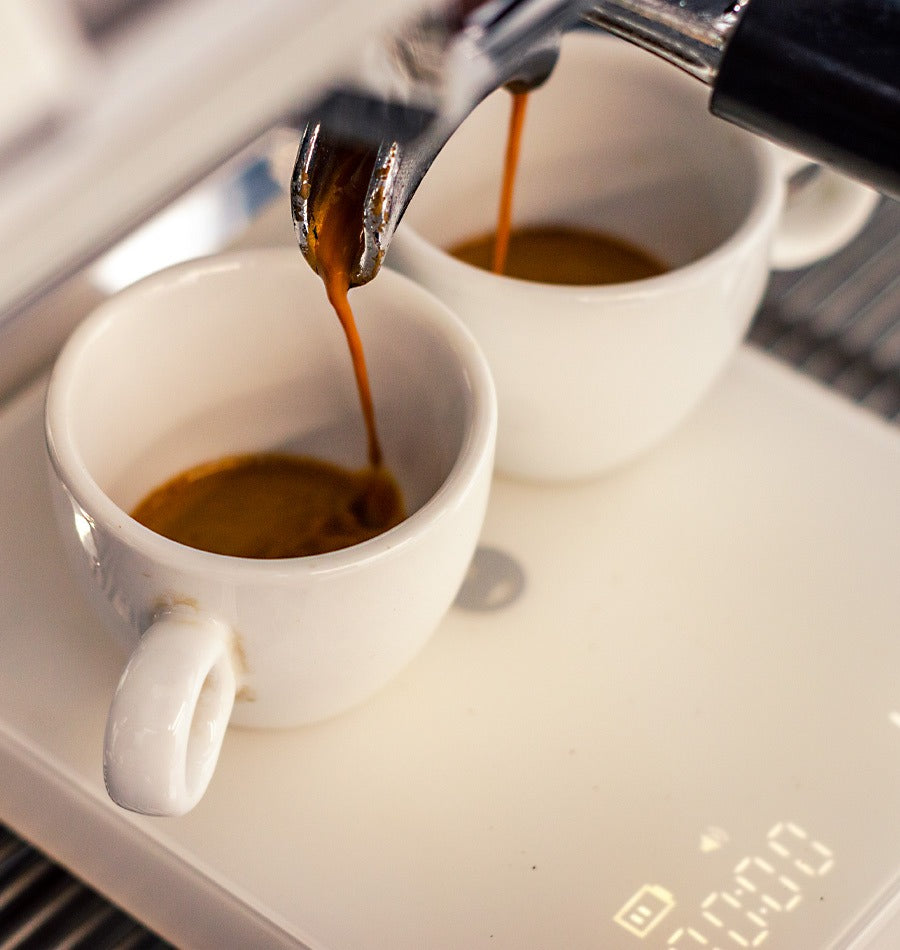 Cafe Altura - Blend de la Casa 2025 Café en Grano Presentación 1kg